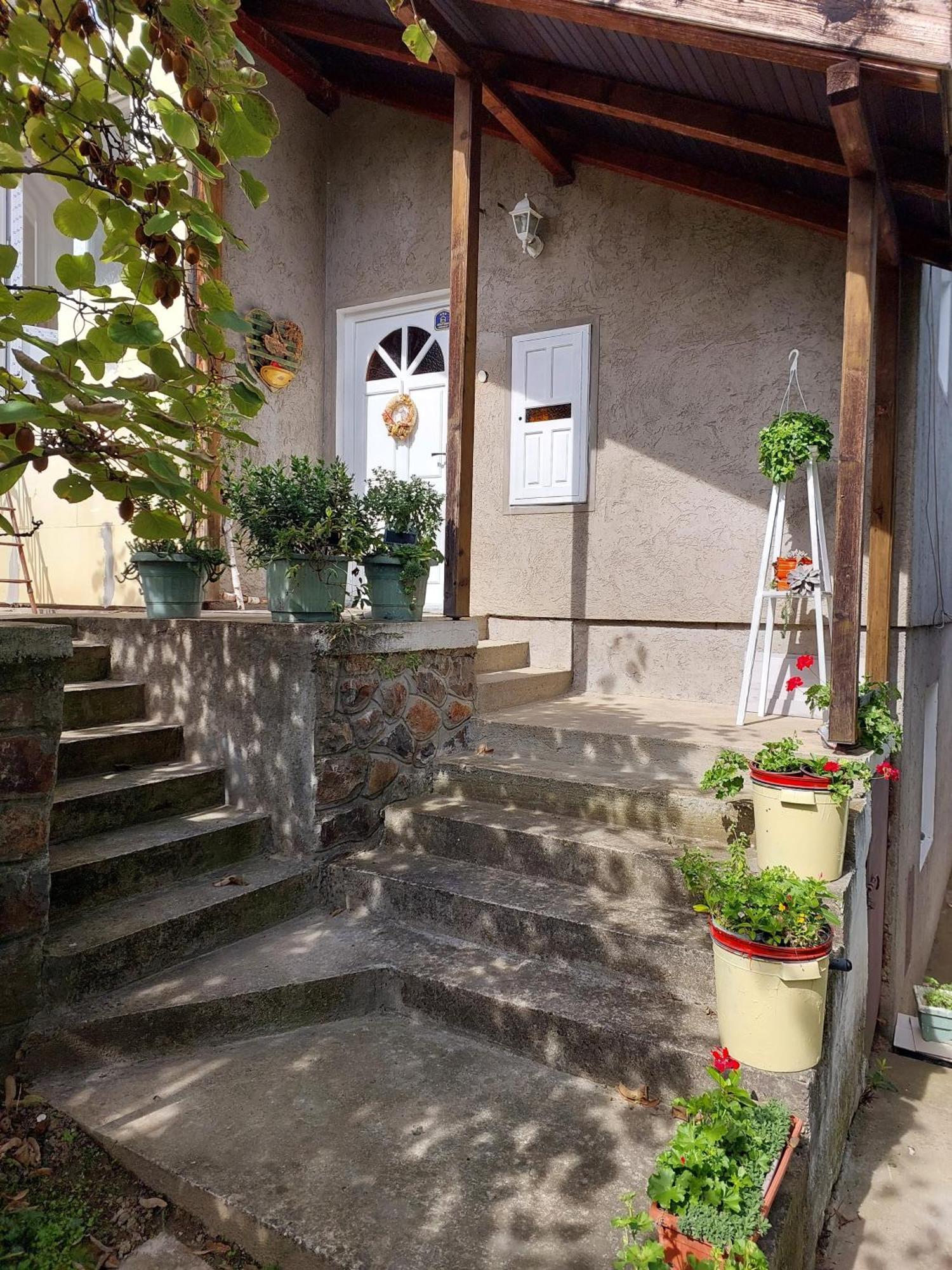 Apartman Nikola Rakovac Dış mekan fotoğraf